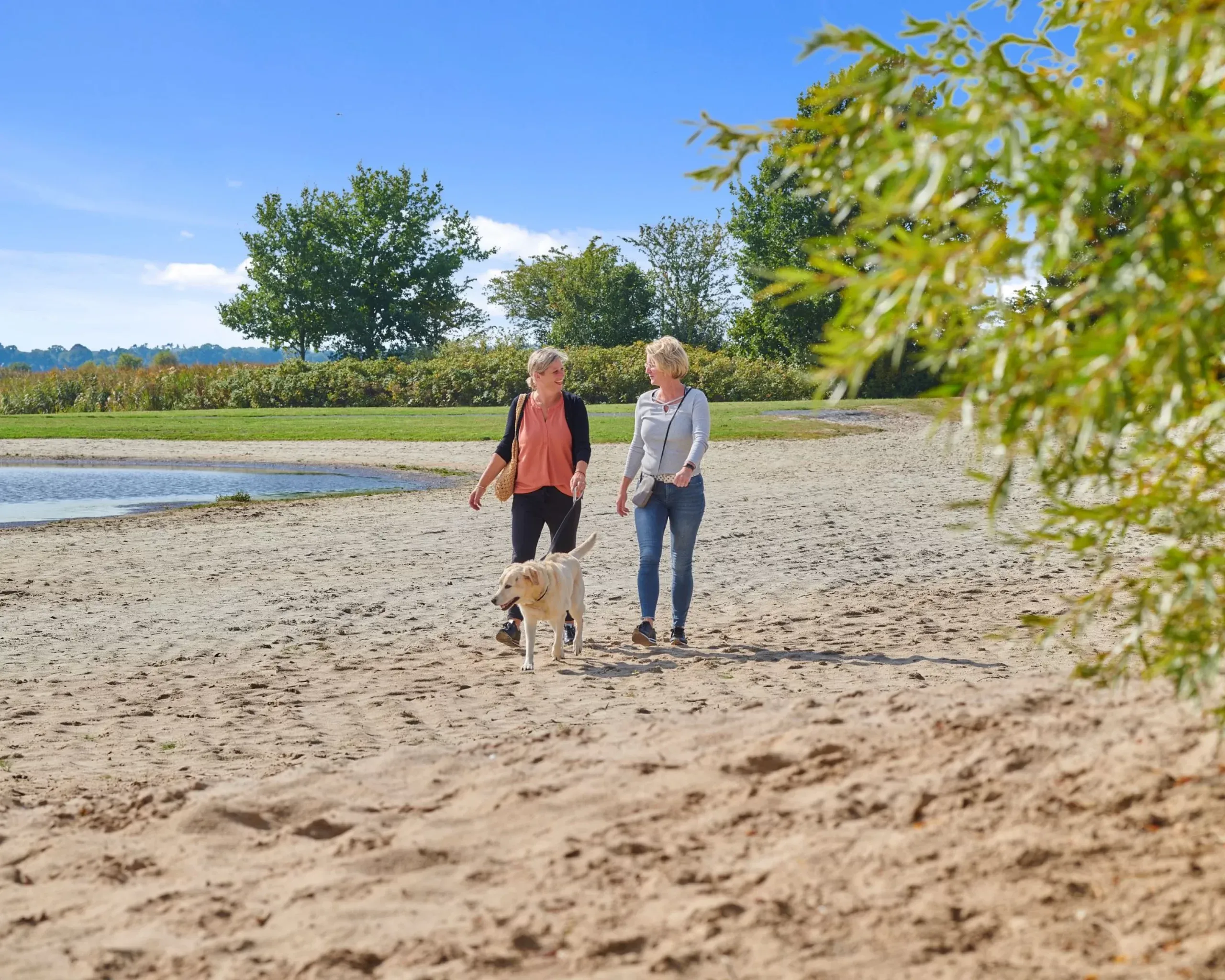 Chalets aan het water op Camping Meerwijck